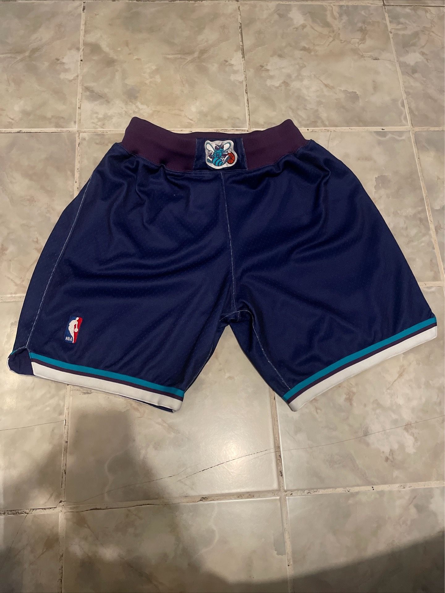 Mitchell & Ness NBA Charlotte Hornets 1994-95 Swingman Shorts SZ M