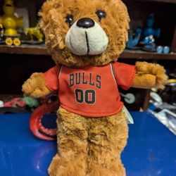 NBA Chicago Bulls Teddy Bear