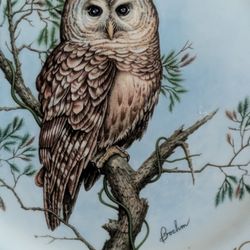 Boehm Complete 8 Plate Owls Of North America