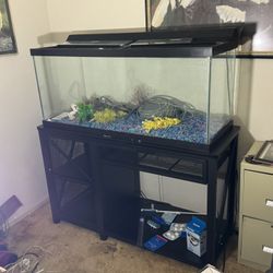75 Gallon Fish Tank 