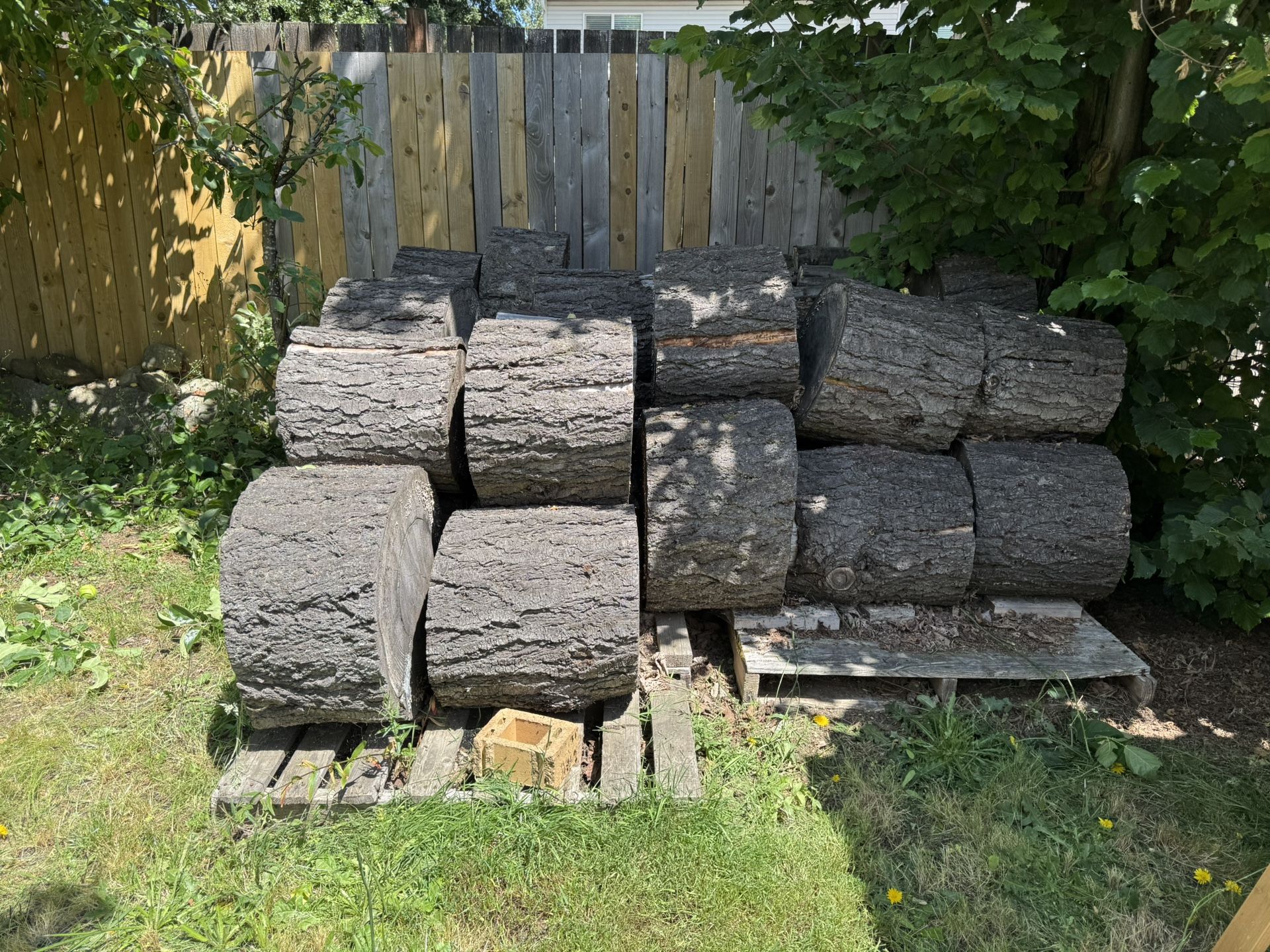 Free Wood