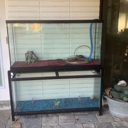 2 fish tanks stand rocks and decorations