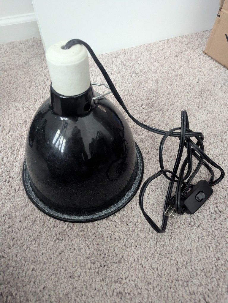 Light Fixture For Repitles
