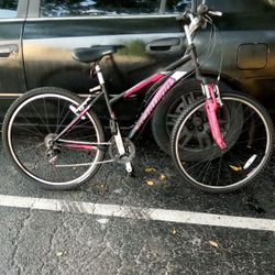 Schwinn Link Mountain Bike