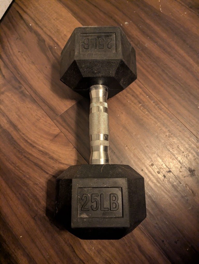 25LB Dumbbell