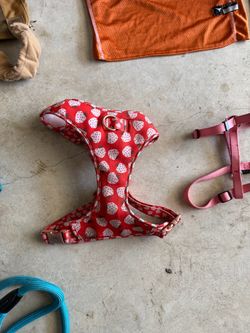 Large breed dog items