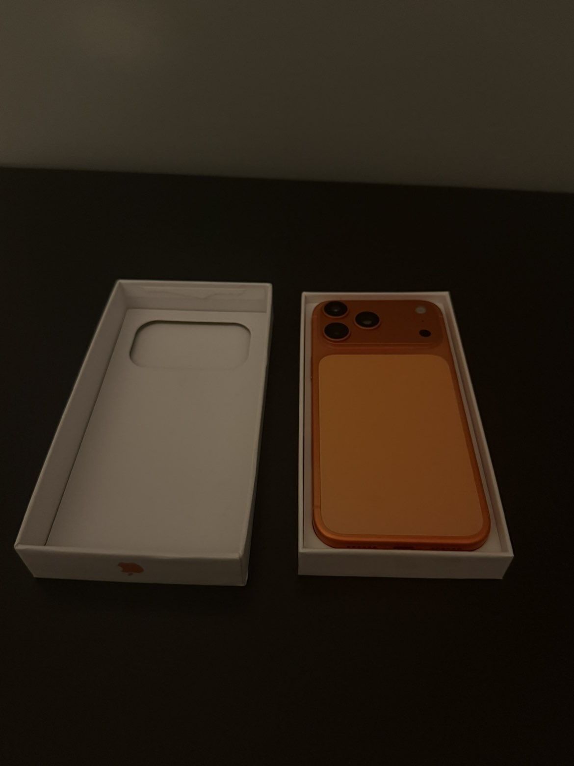 iPhone 17 Pro Max 1TB