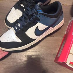 Nike Dunks Low NAS Summit White