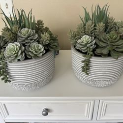 Succulent Bowl