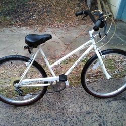 Raleigh 6 Speed Cruiser Great Condition 