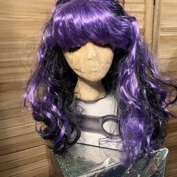 Black & Purple Hair Wig