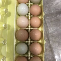 Farm Fresh Eggs 