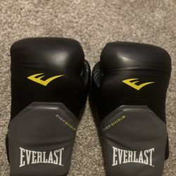 16 Oz Everlast Boxing Gloves 