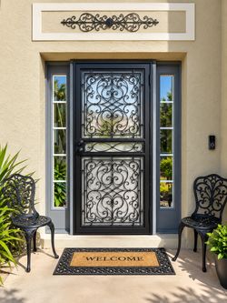 36 in x 80 in Black Security Door