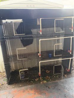Chicken and bird coop