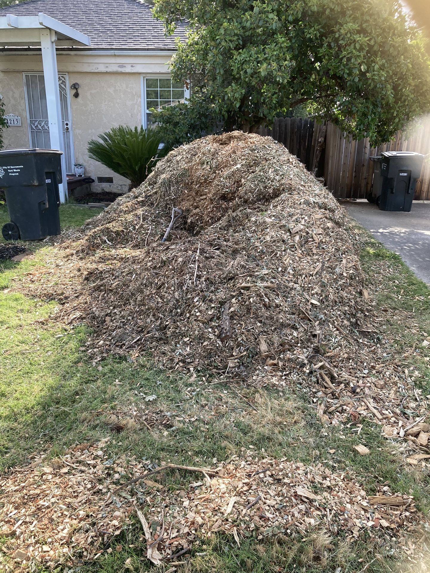 FREE WOODCHIPS FOR MULCH- Near Curtis Park