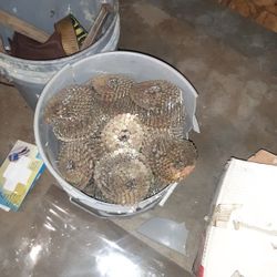 Coil Roofing Nails 1-1/4