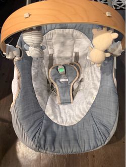 Ingenuity bany swing