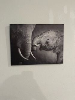 Black & White Elephant Canvas Wall Art