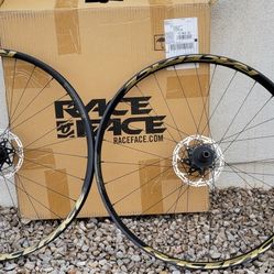 RaceFace Turbine 30 Mtb Wheel Set, 29in