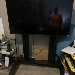 55’ LG BUSINESS TV WITH ROLLING STAND