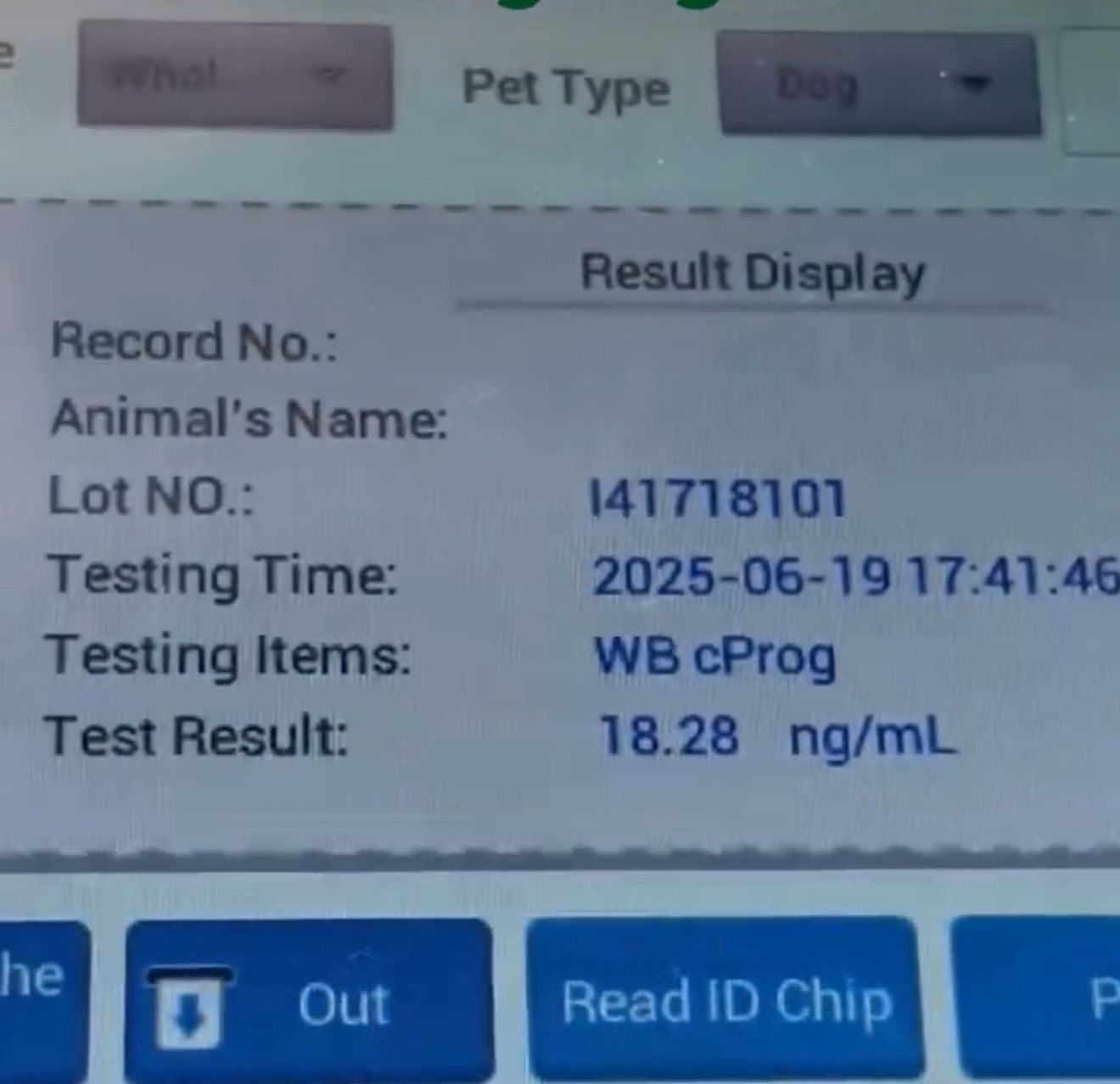 Progesterone Testing 