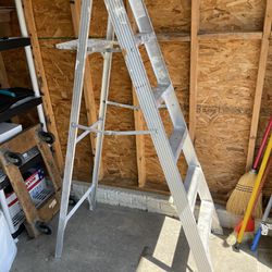6 Foot Lightweight Metal Ladder