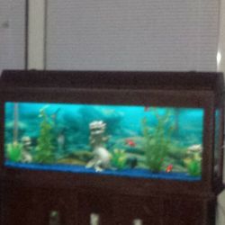Fish tank antique Stand No Tank Only The stand 