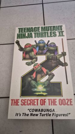 Teenage mutant ninja turtles