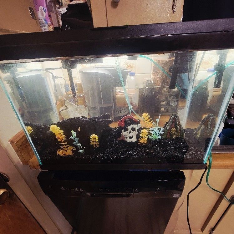 20 Gallon Fish Aquarium Ready To Go
