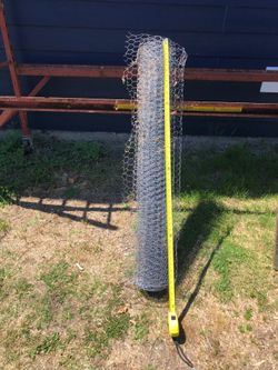 Chicken Wire