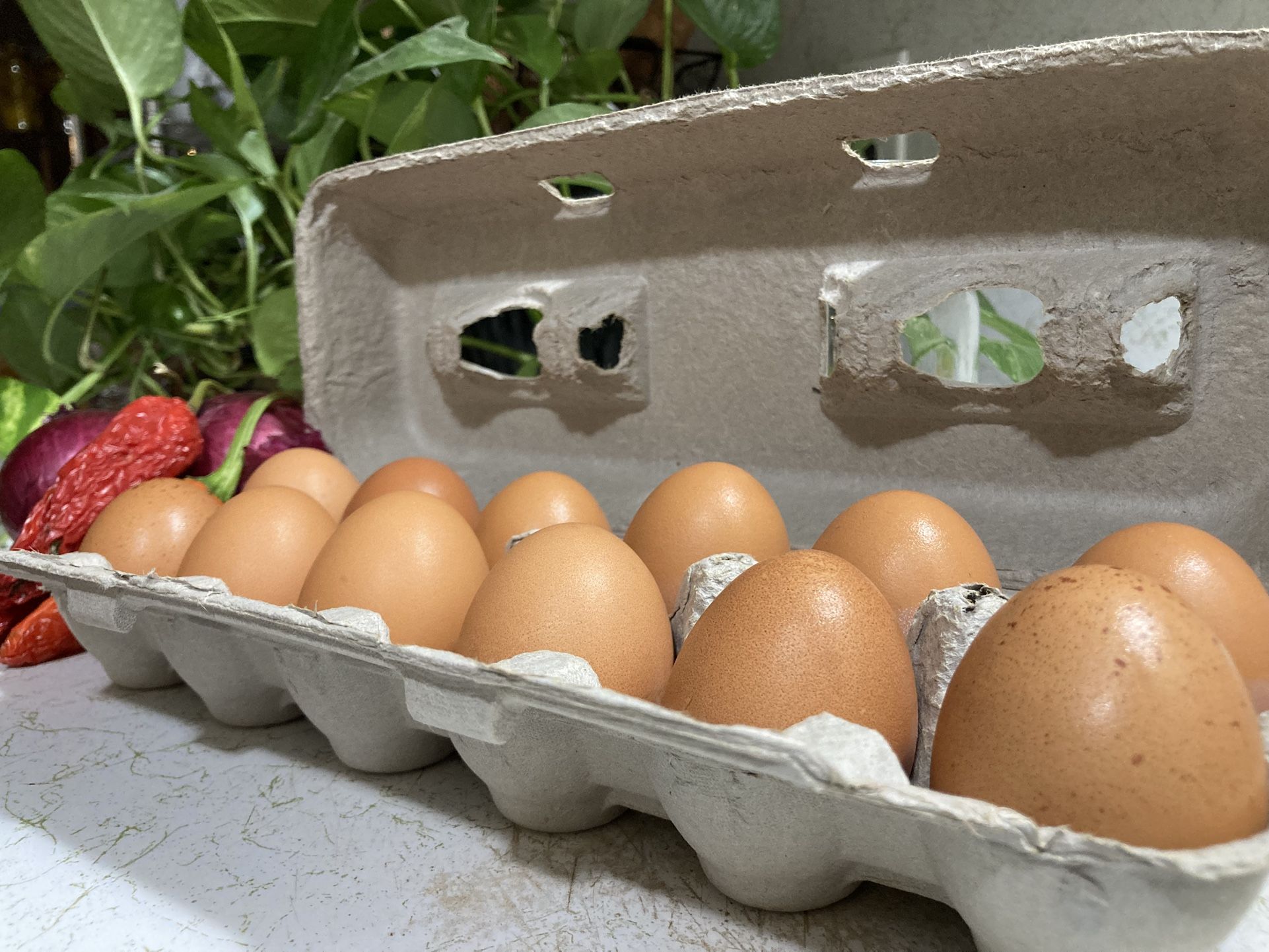 Cage Free Fresh Local Eggs-dozen
