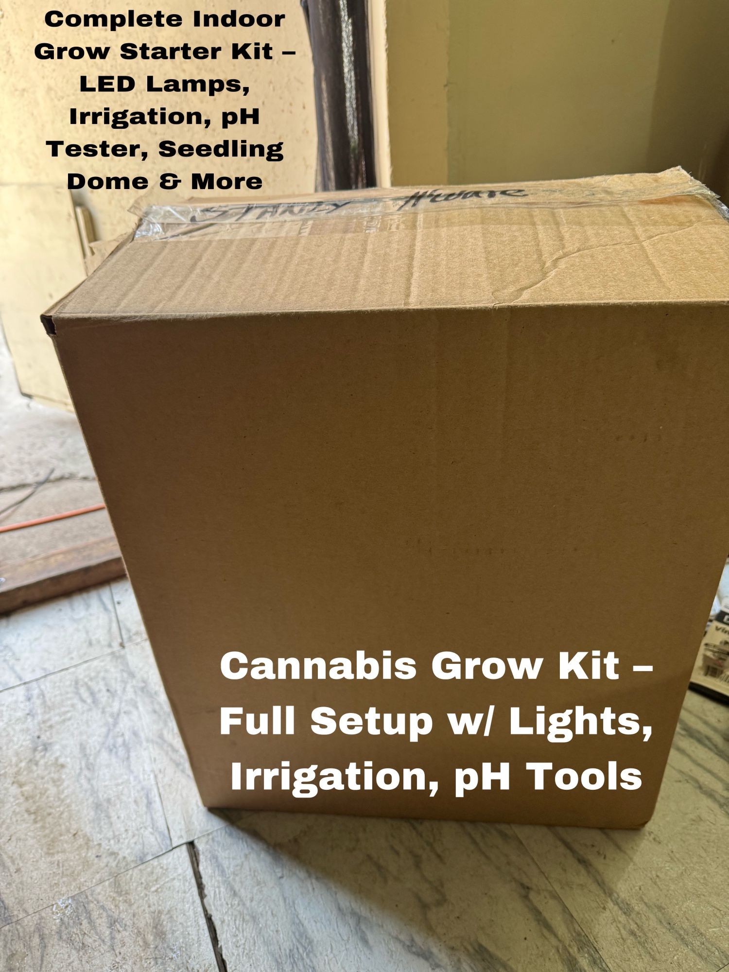 Complete Indoor Grow Kit – Everything You Need to Start Growing