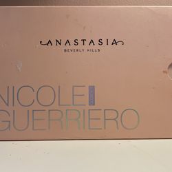 ANASTASIA ABH Nicole Guerriero Glow Kit Highlighting Palette Limited BNIB