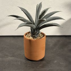 Faux Cactus Succulent Plant 