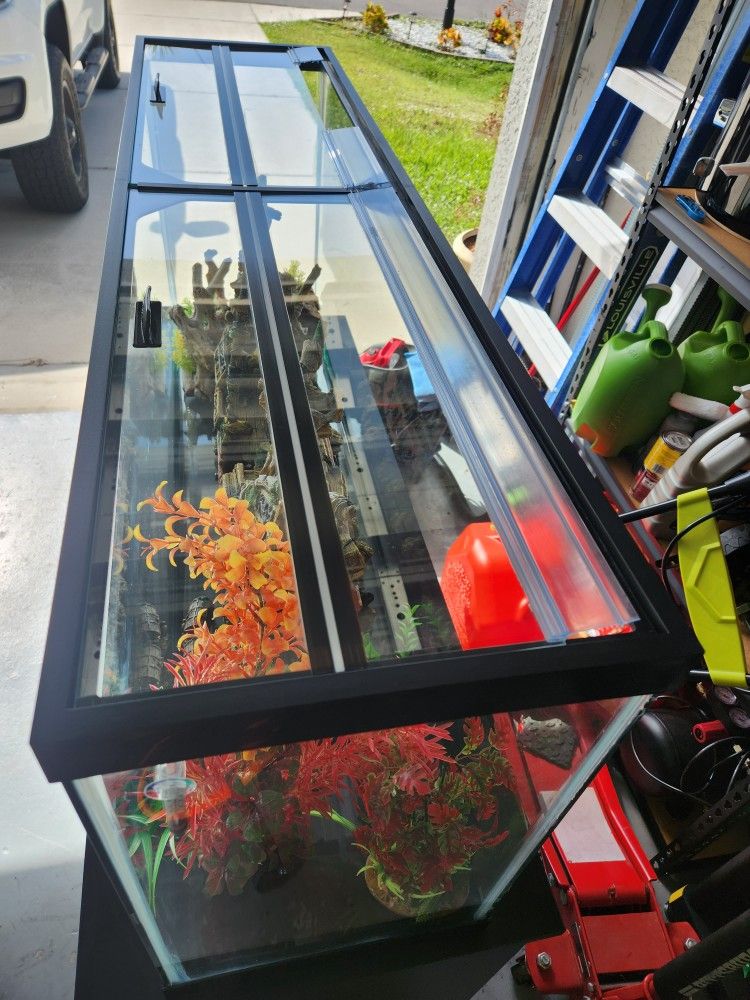 55 Gallon Aquarium