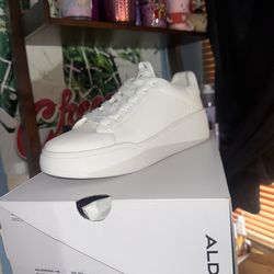 Aldo Shoes