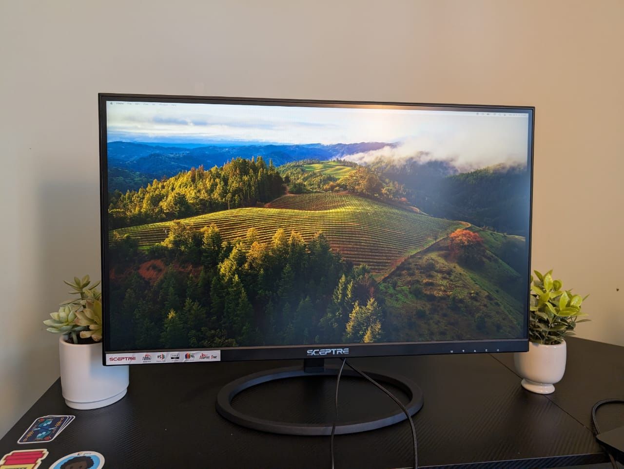 Sceptre Monitor For Saleee!