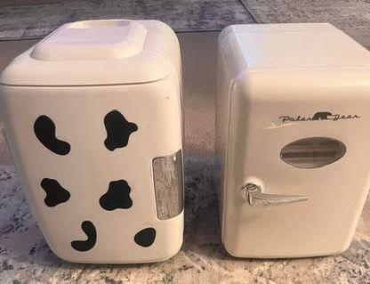 Portable mini fridge