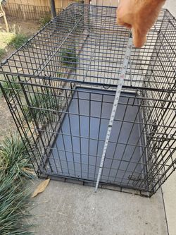 Dog crate