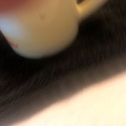 Old Spice Shaving Mug Thumbnail