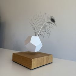 Floating Geometric Succulent Planter 