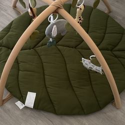 Baby Play Gym