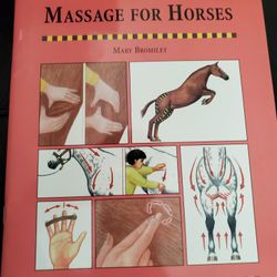 Massage For Horses