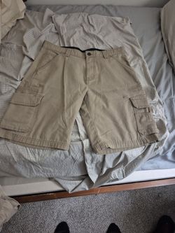 Dickies Shorts