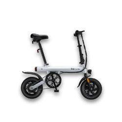250w Ebike