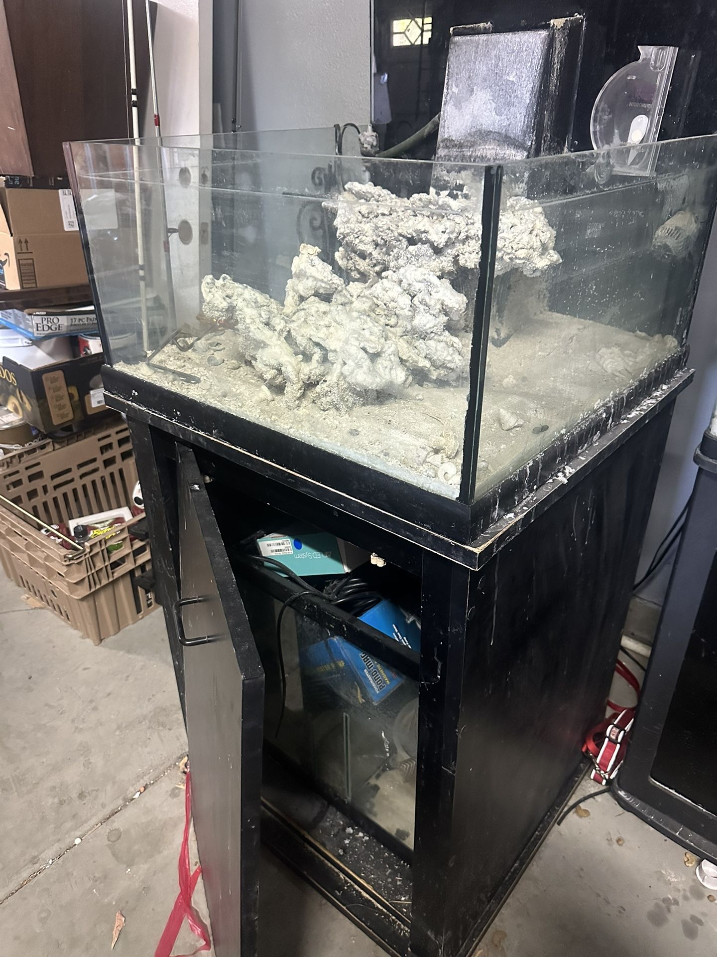 🪸🐠75 Gallon Reef Tank