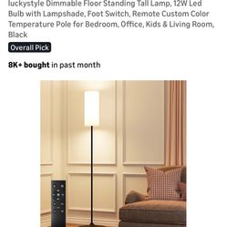 Brand New Floor Lamp