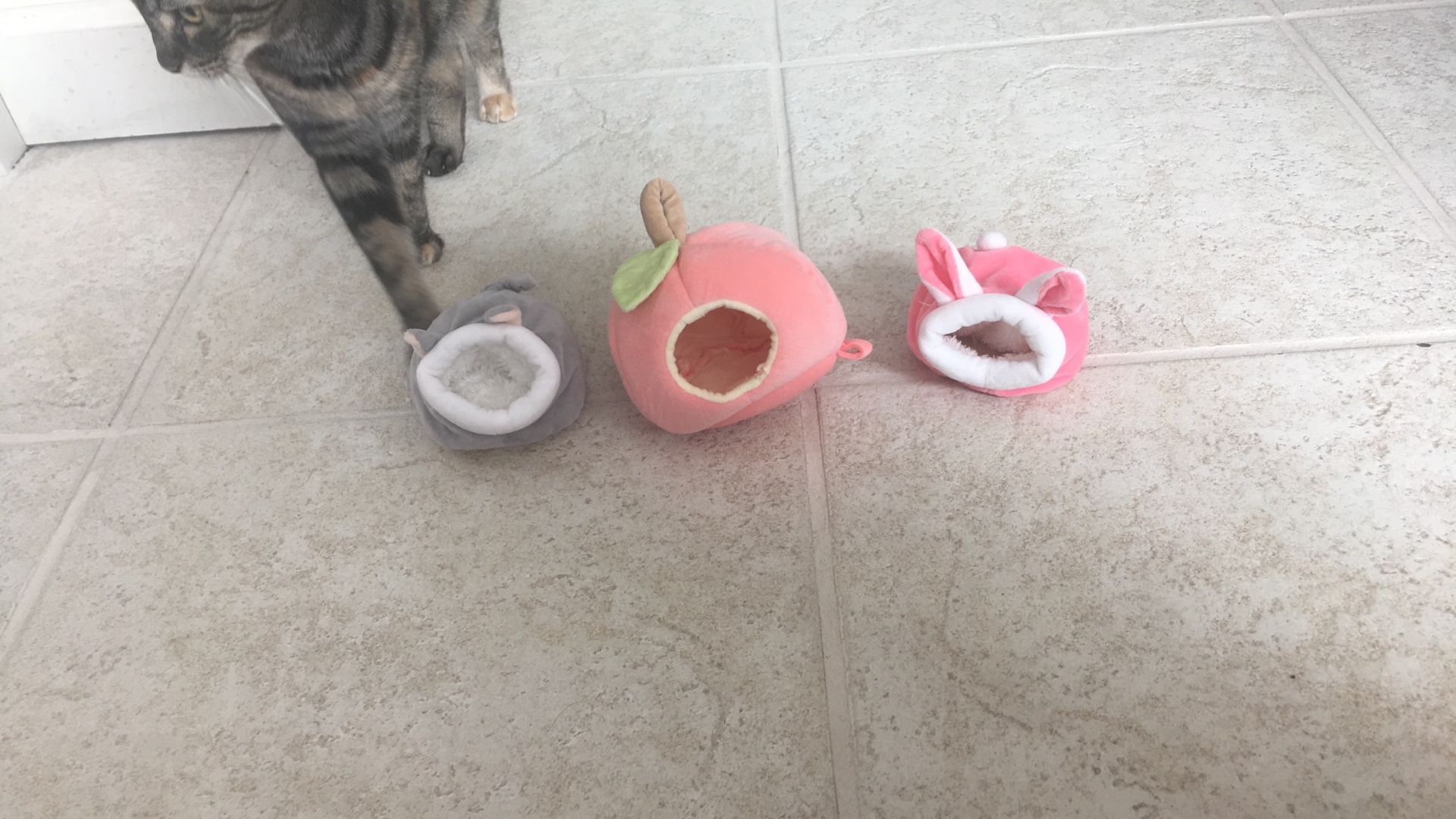 Rodent Small Beds
