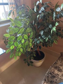 Decorative plant with base